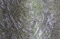 Cassington fibreglass roof work